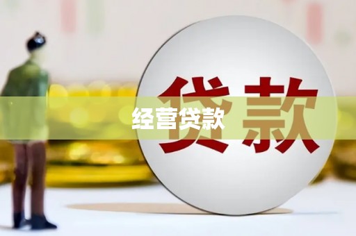 陆良经营贷款