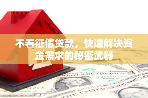 陆良不看征信贷款，快速解决资金需求的秘密武器