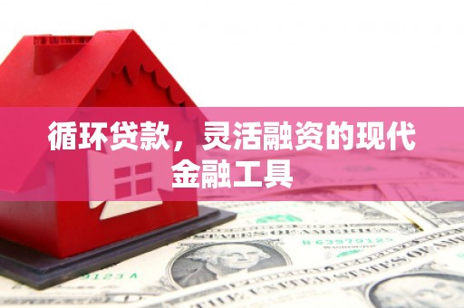 陆良循环贷款，灵活融资的现代金融工具