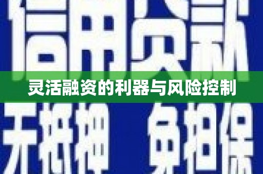 陆良灵活融资的利器与风险控制