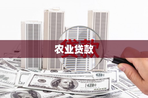 陆良农业贷款