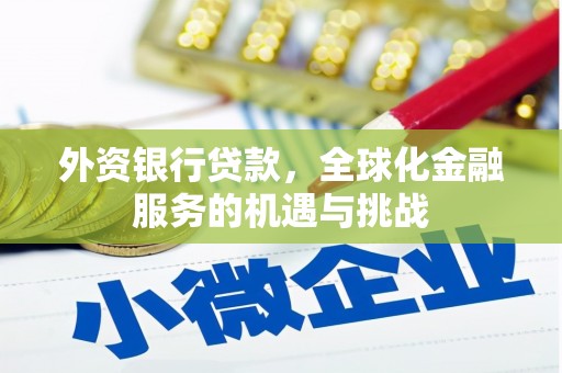 陆良外资银行贷款，全球化金融服务的机遇与挑战