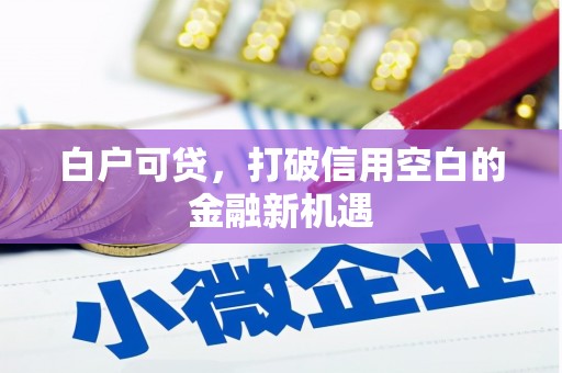 陆良白户可贷，打破信用空白的金融新机遇