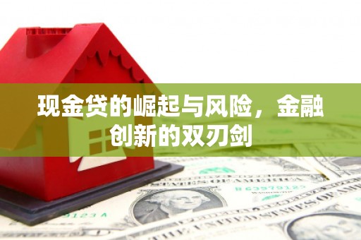 陆良现金贷的崛起与风险，金融创新的双刃剑