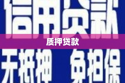 陆良质押贷款