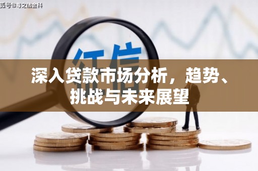 陆良深入贷款市场分析，趋势、挑战与未来展望