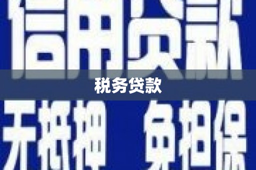 陆良税务贷款