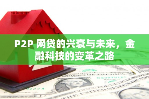 陆良P2P 网贷的兴衰与未来，金融科技的变革之路
