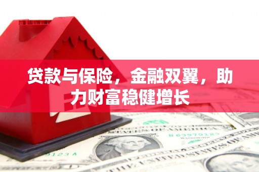 陆良贷款与保险，金融双翼，助力财富稳健增长