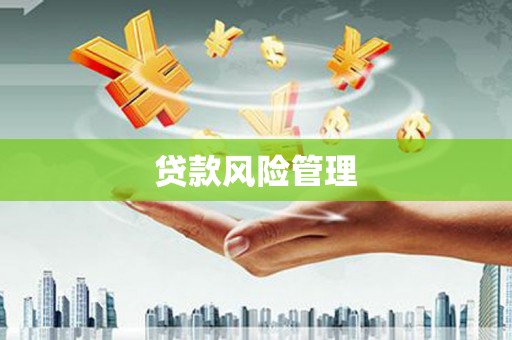 陆良贷款风险管理
