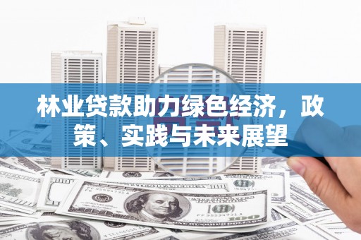 陆良林业贷款助力绿色经济，政策、实践与未来展望