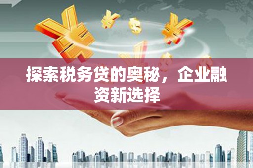 陆良探索税务贷的奥秘，企业融资新选择