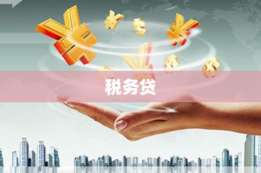 陆良税务贷