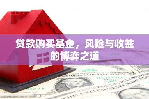 陆良贷款购买基金，风险与收益的博弈之道