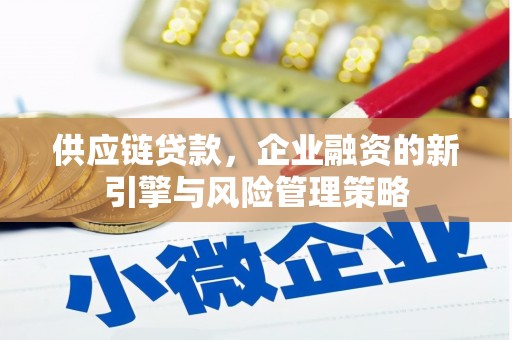 陆良供应链贷款，企业融资的新引擎与风险管理策略