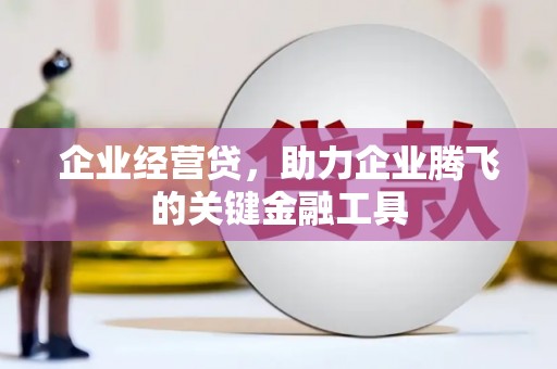 陆良企业经营贷，助力企业腾飞的关键金融工具