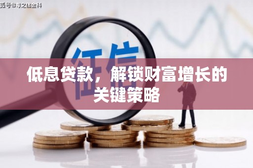 陆良低息贷款，解锁财富增长的关键策略