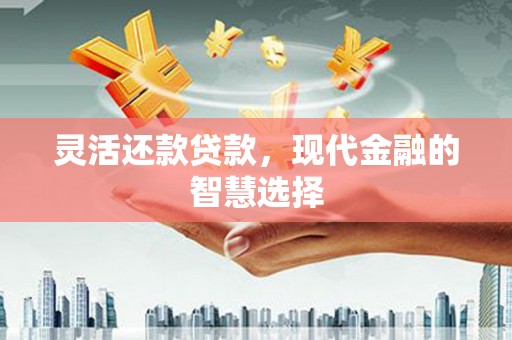 陆良灵活还款贷款，现代金融的智慧选择