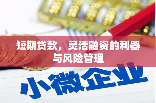 陆良短期贷款，灵活融资的利器与风险管理