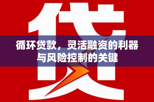 陆良循环贷款，灵活融资的利器与风险控制的关键
