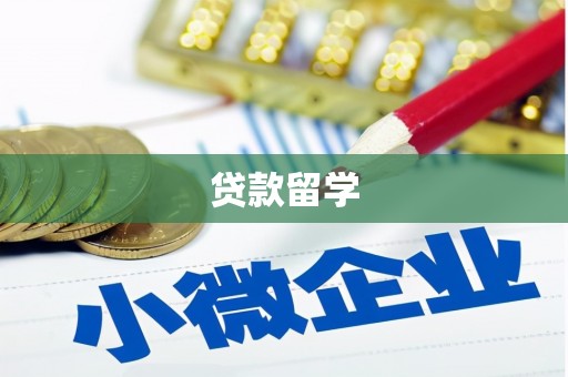 陆良贷款留学