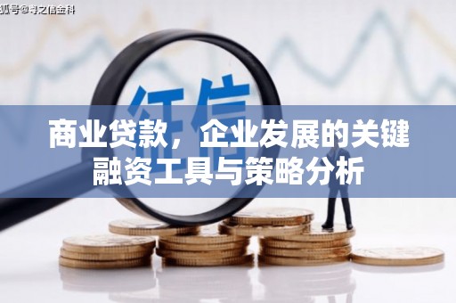 陆良商业贷款，企业发展的关键融资工具与策略分析