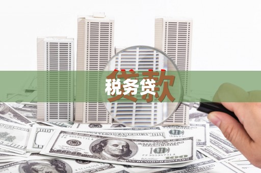 陆良税务贷