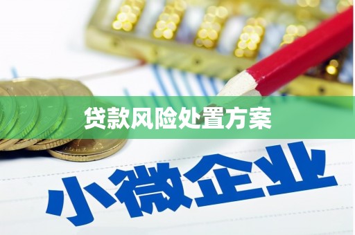 陆良贷款风险处置方案