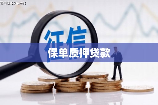 陆良保单质押贷款