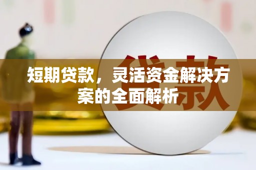 陆良短期贷款，灵活资金解决方案的全面解析