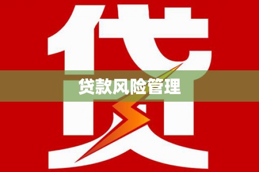 陆良贷款风险管理