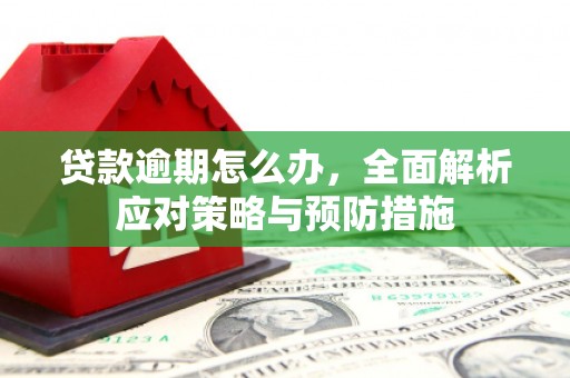陆良贷款逾期怎么办，全面解析应对策略与预防措施