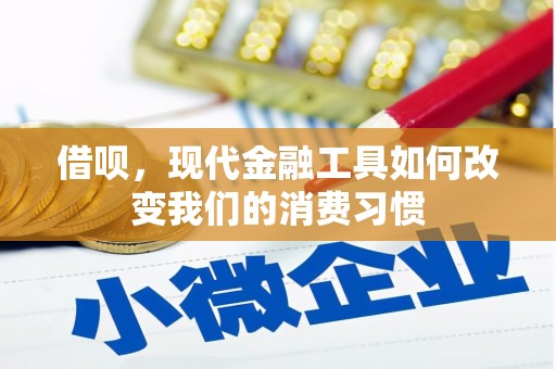 陆良借呗，现代金融工具如何改变我们的消费习惯