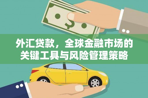 陆良外汇贷款，全球金融市场的关键工具与风险管理策略