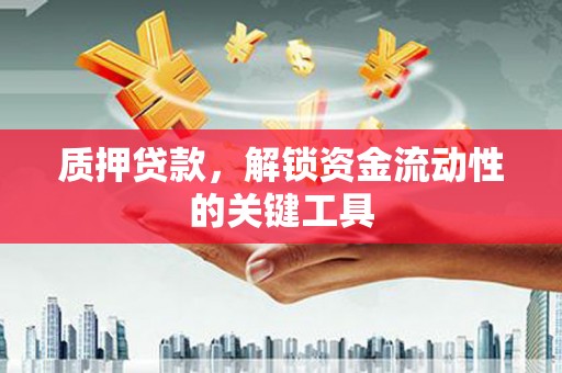 陆良质押贷款，解锁资金流动性的关键工具
