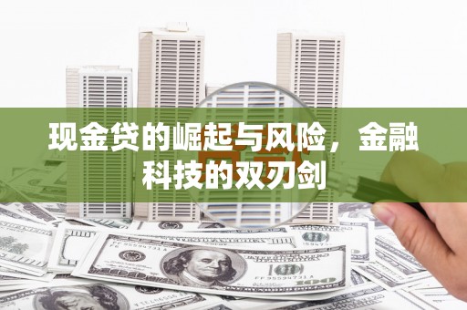 陆良现金贷的崛起与风险，金融科技的双刃剑
