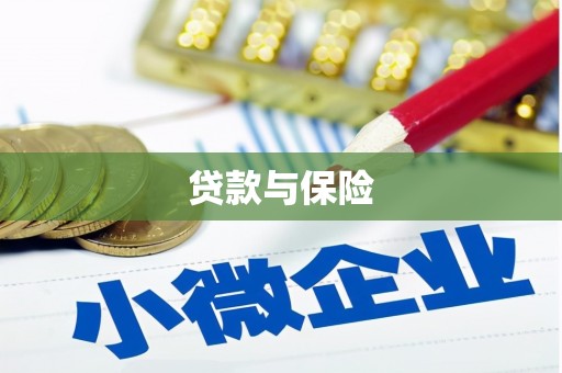 陆良贷款与保险