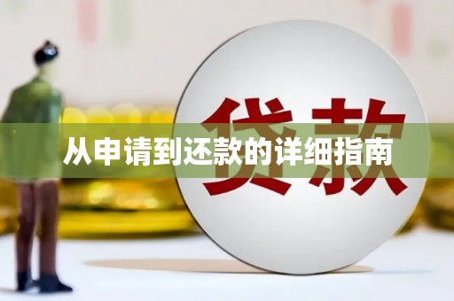 陆良从申请到还款的详细指南