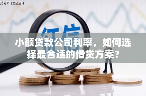 陆良小额贷款公司利率，如何选择最合适的借贷方案？