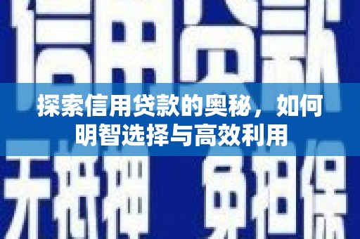 陆良探索信用贷款的奥秘，如何明智选择与高效利用