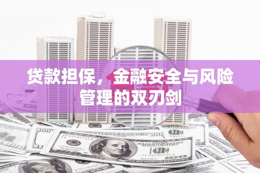 陆良贷款担保，金融安全与风险管理的双刃剑