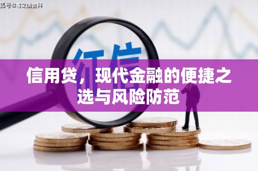 陆良信用贷，现代金融的便捷之选与风险防范