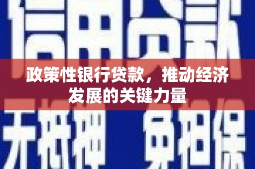 陆良政策性银行贷款，推动经济发展的关键力量