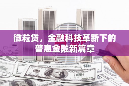 陆良微粒贷，金融科技革新下的普惠金融新篇章