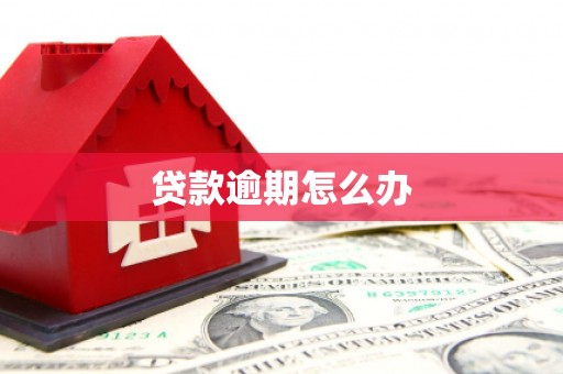 陆良贷款逾期怎么办
