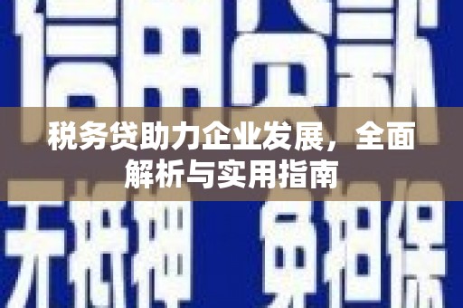陆良税务贷助力企业发展，全面解析与实用指南