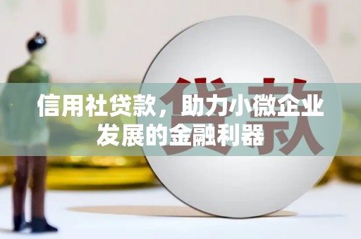 陆良信用社贷款，助力小微企业发展的金融利器