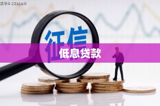 陆良低息贷款