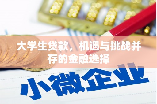 陆良大学生贷款，机遇与挑战并存的金融选择