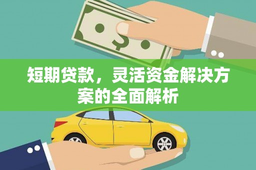 陆良短期贷款，灵活资金解决方案的全面解析
